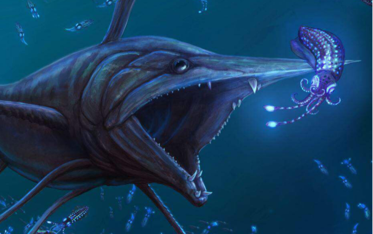 原魣protosphyraena——白垩纪的剑鱼