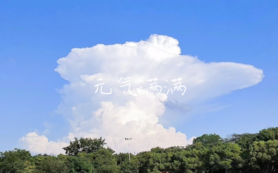 元气满满的一天