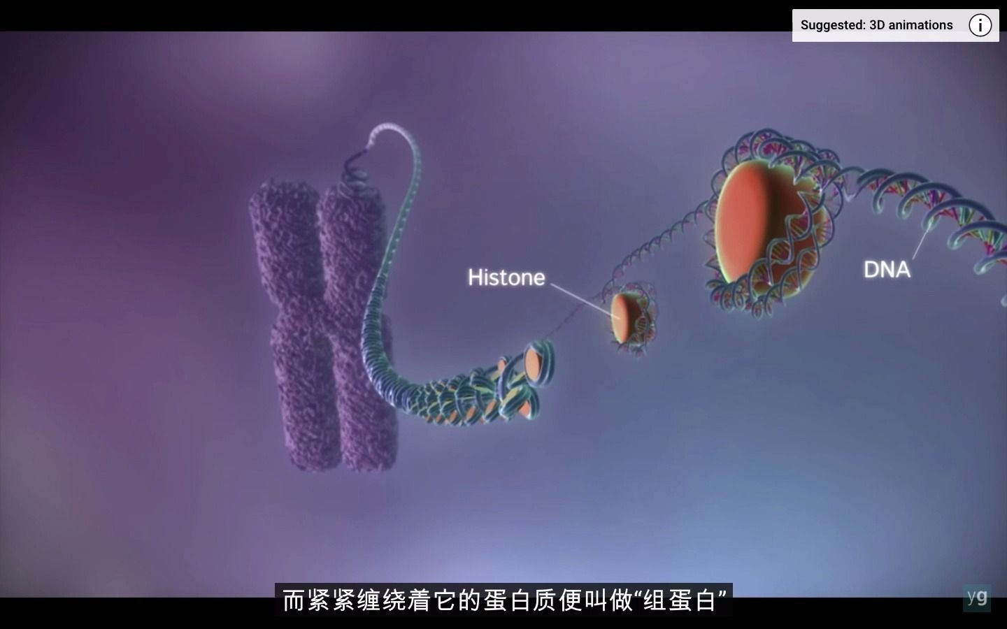 [图]DNA-mRNA-蛋白质/转录/翻译