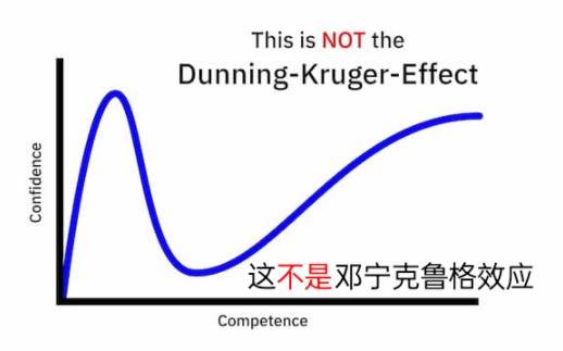(中字)邓宁克鲁格效应的讽刺性【Vallis】哔哩哔哩bilibili