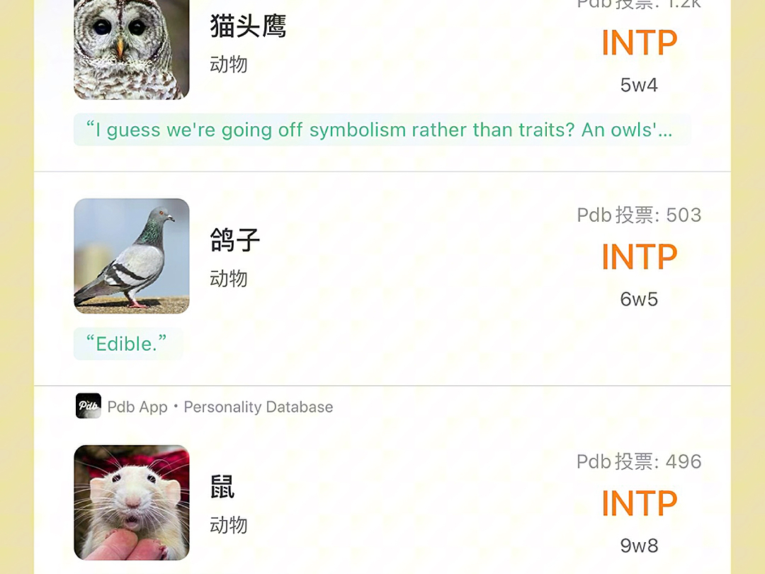 intp的代表物哔哩哔哩bilibili