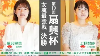 なんちゃって「投扇興❗️」ファイナル‼️（鶴の恩返しバージョン♪） 扇兴杯-哔哩哔哩_Bilibili