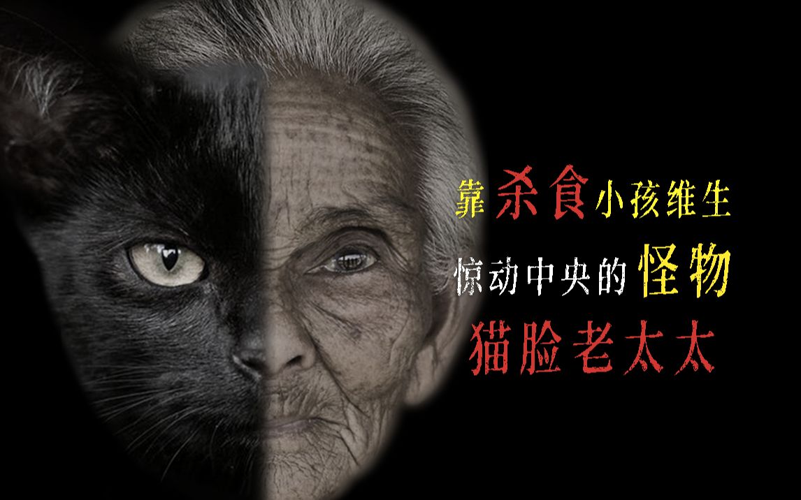 老黑猫传说图片