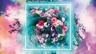 ミュージック EDEN no SONO Live at YOKOHAMA ARENA 2019 Mrs.GREEN APPLE／EDEN no SONO Live at YOKOHAMA ARENA 2019.12