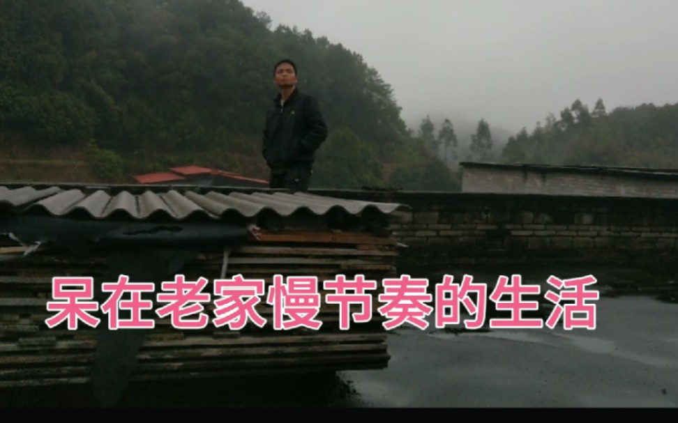 下雨后农村的风景犹如仙境,要是喝西北风能饱,他再也不愿去打工哔哩哔哩bilibili