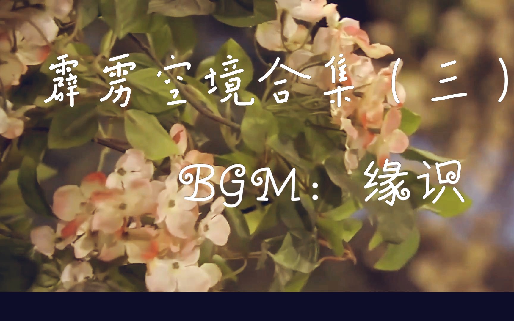 【霹雳空境合集(三)】BGM 缘识哔哩哔哩bilibili