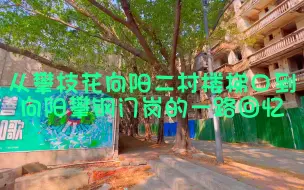 Descargar video: 从攀枝花向阳二村楼梯口到向阳攀钢门岗的一路回忆