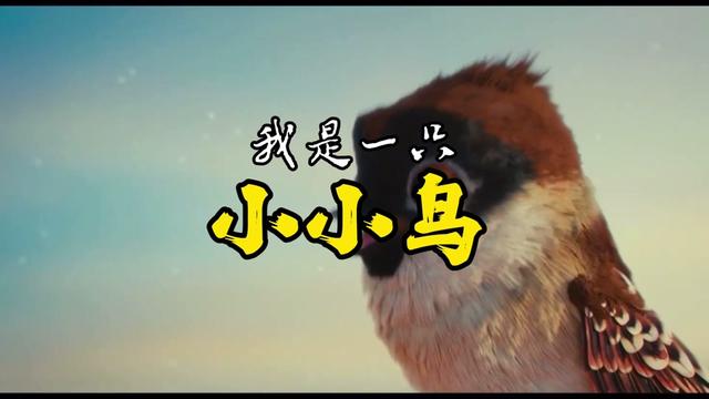 《我是一只小小鸟》,想要飞却飞不高!