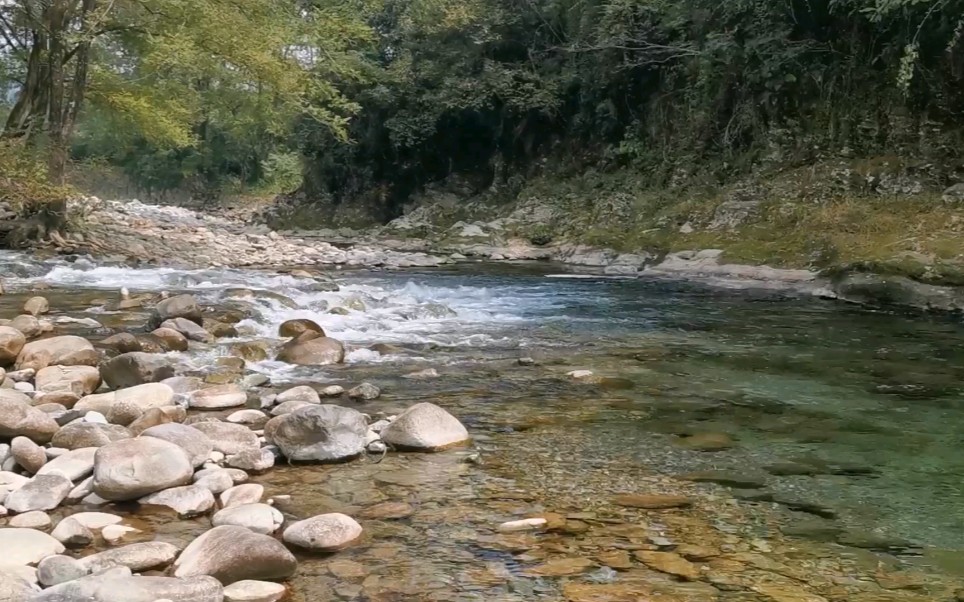 [图]流水潺潺，秋意阑珊