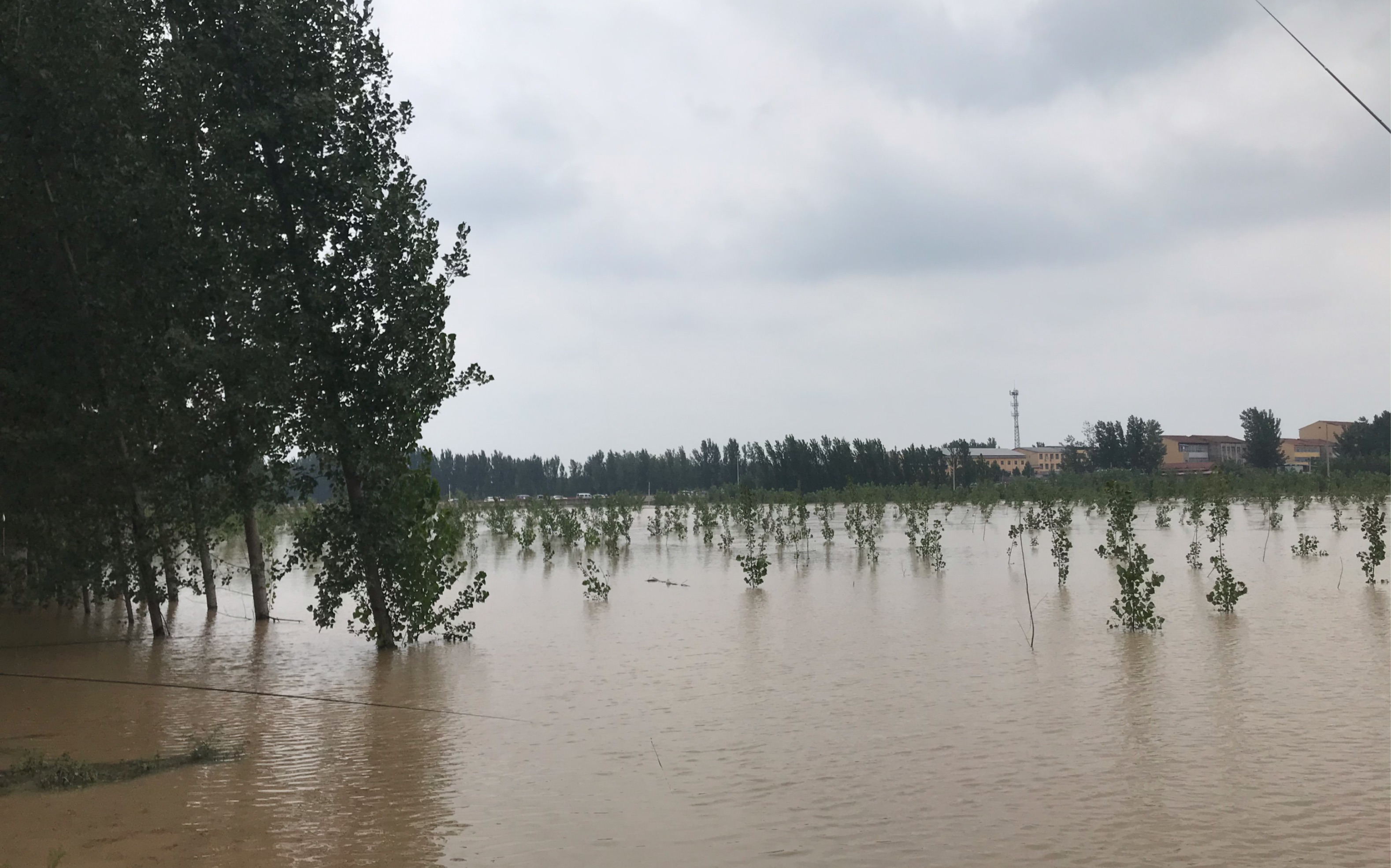 河南省开封市尉氏县庄头村,水已经漫到腰了.大家只能慢慢转移求生