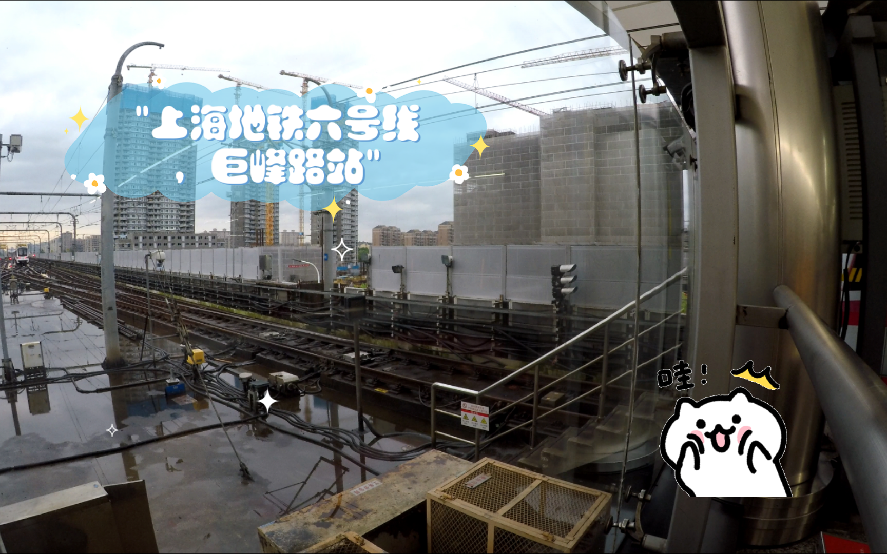 上海地铁六号线,巨峰路站