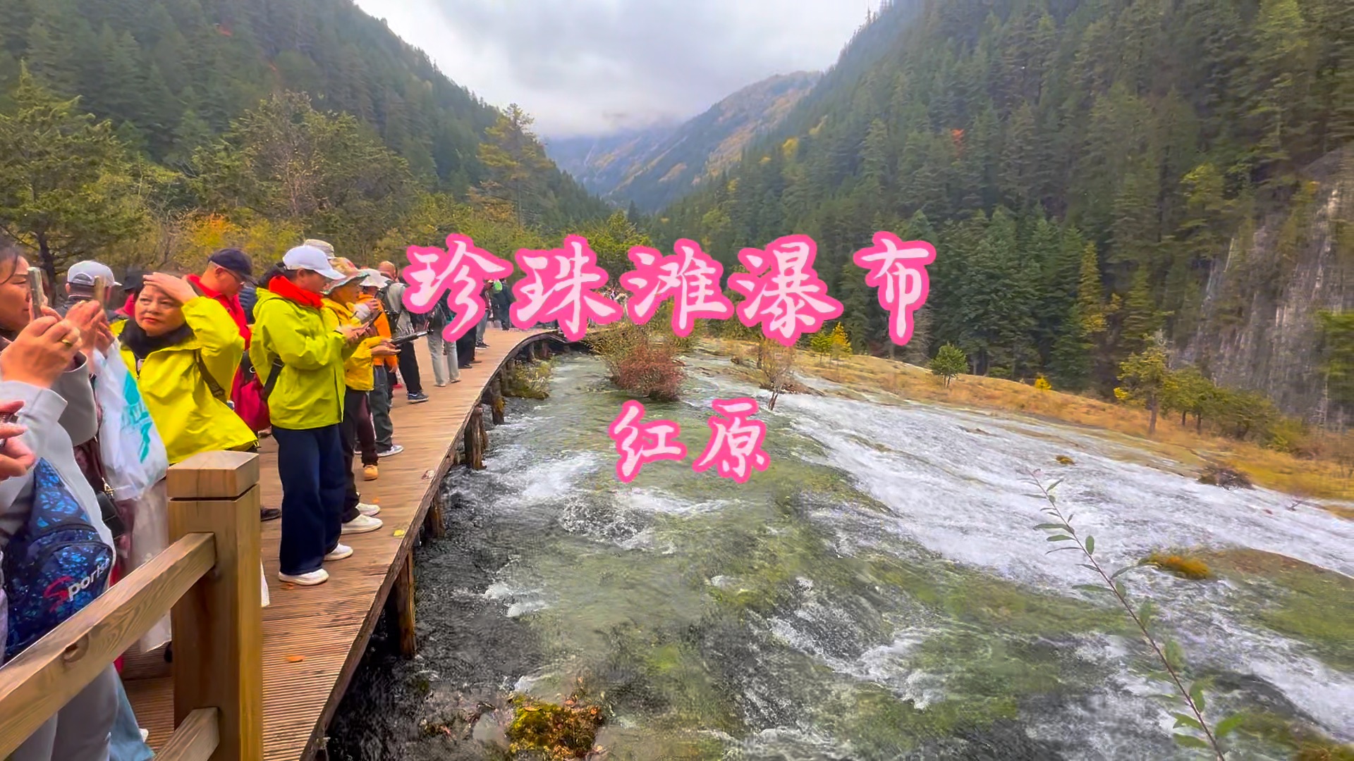 四川行(二十五)ⷠ《珍珠滩瀑布》:位于九寨沟景区,瀑布上端有一个钙华的倾角滩面,山泉水淌过有鳞片般的微小起伏,在阳光的照射下,若万颗明珠,...