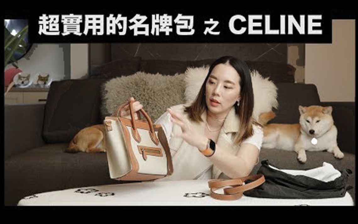 开箱超实用 CELINE LUGGAGE NANO 包款 全新帆布皮革 经典配色哔哩哔哩bilibili