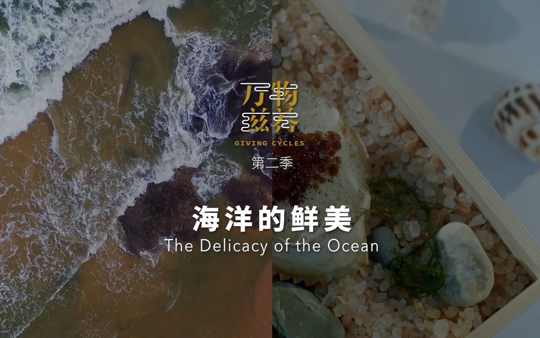 万物滋养第二季第5集海洋的鲜美