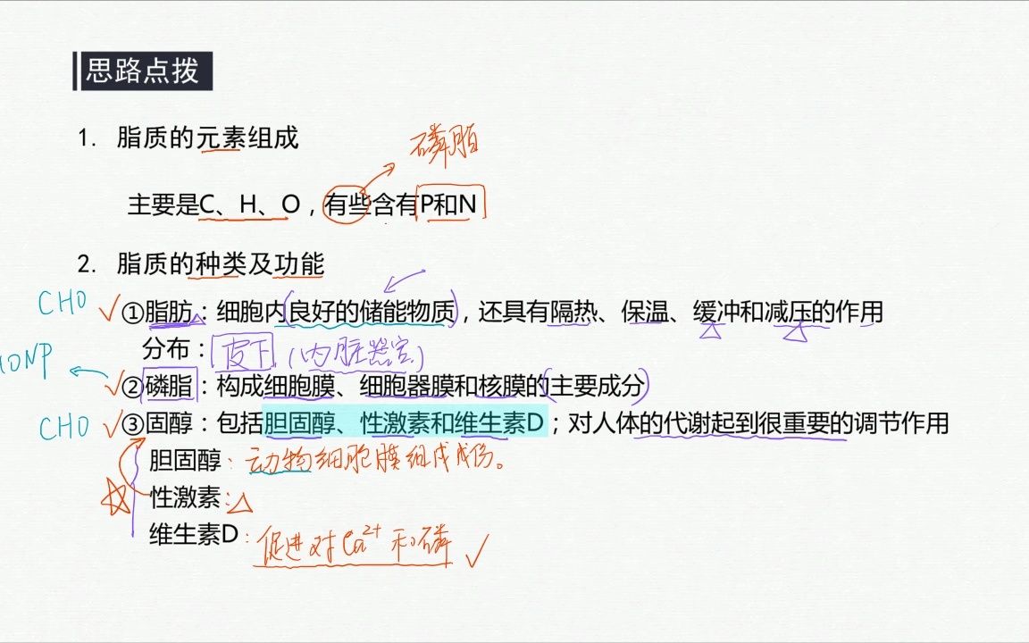 脂质的元素组成、种类及功能哔哩哔哩bilibili