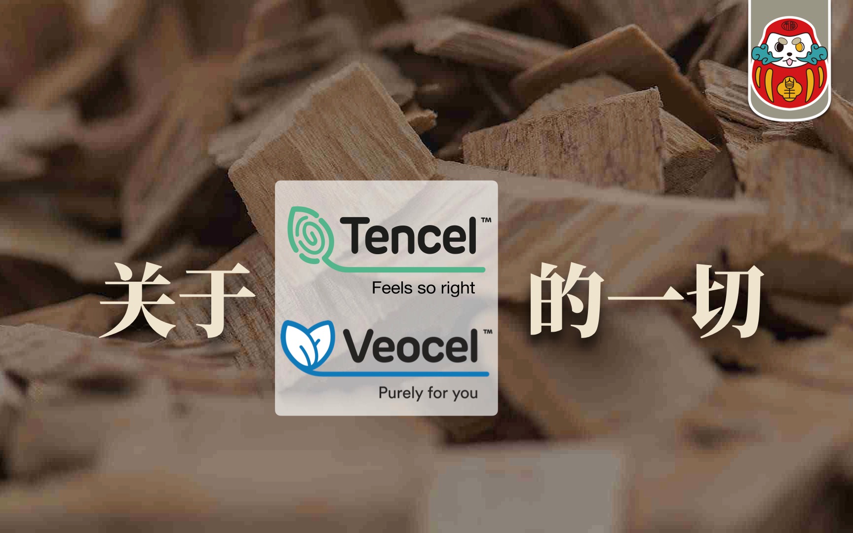 《面料调查局》99%天丝都是假的! 4分钟让你不再踩雷|Tencel 购买指南|时尚科普哔哩哔哩bilibili