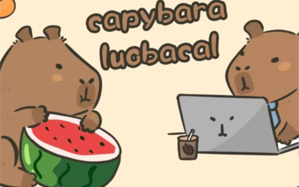 卡比巴拉#呆呆水豚