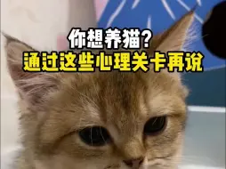 Descargar video: 你想养猫？先通过这些心理关卡再说！