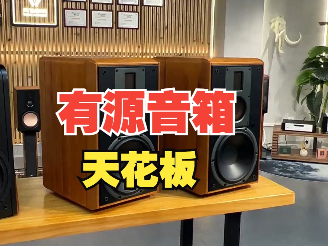 [图]有源音箱 天花板，测试一下你的耳机效果，看听到最后破不破音#HiFi 惠威 音响