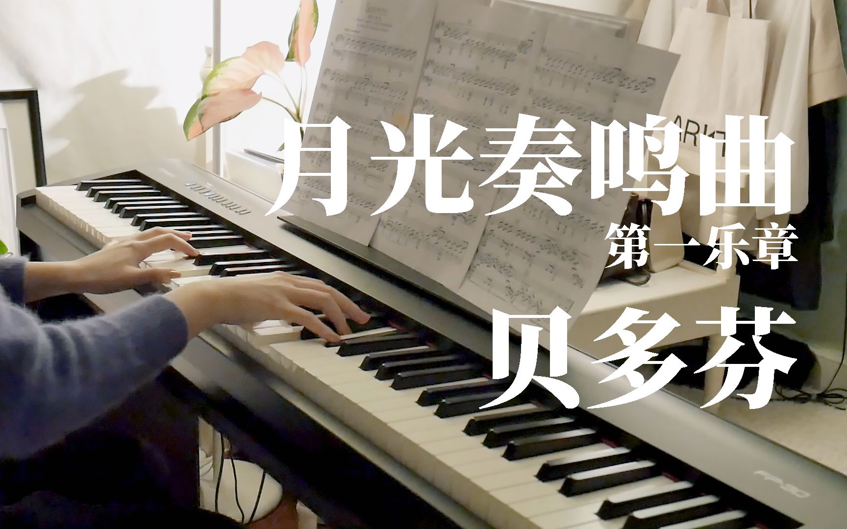 [图]🌙贝多芬 - 月光奏鸣曲 第一乐章 'Moonlight Sonata', Op. 27 no. 2 | 赫兹钢琴