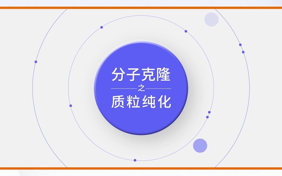 分子克隆实验全流程10——质粒纯化哔哩哔哩bilibili