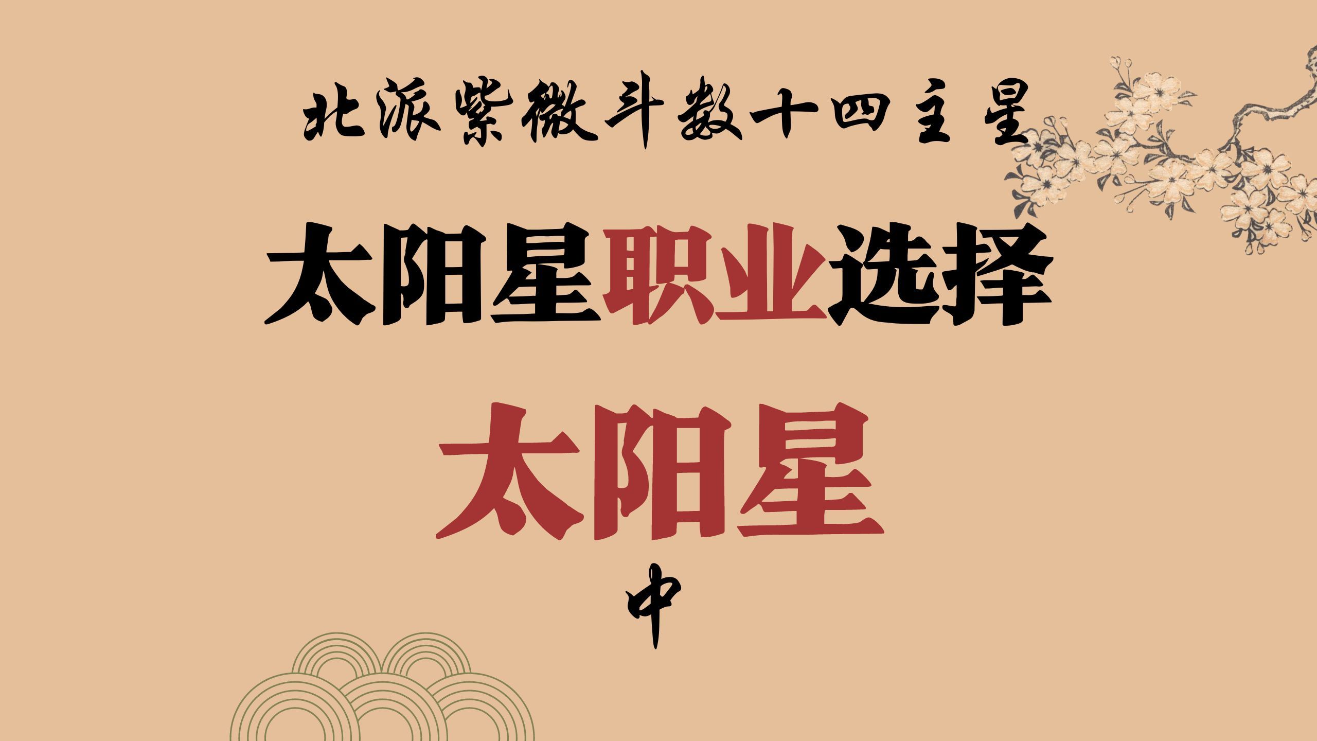 太阳星工作事业方向,【最完整】太阳星(中),北派紫微斗数哔哩哔哩bilibili