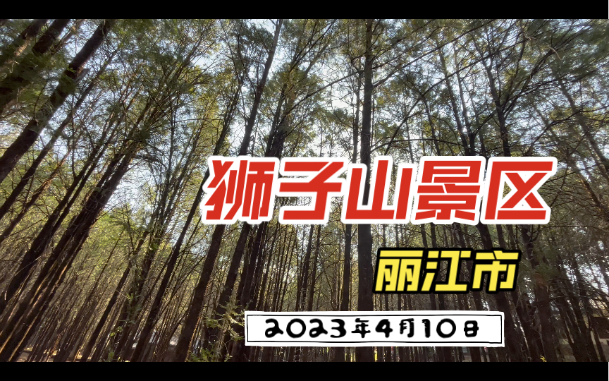 2023年4月10日(星期一) 丽江市古城区狮子山景区哔哩哔哩bilibili