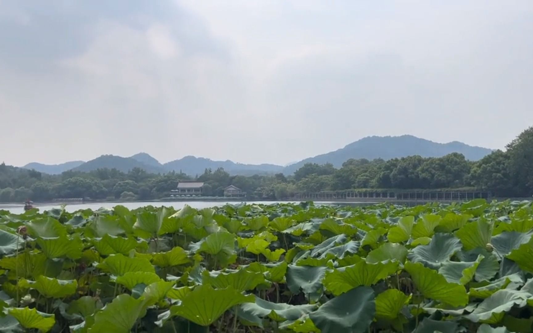 [图]重游西湖，必须唱段白蛇传游湖