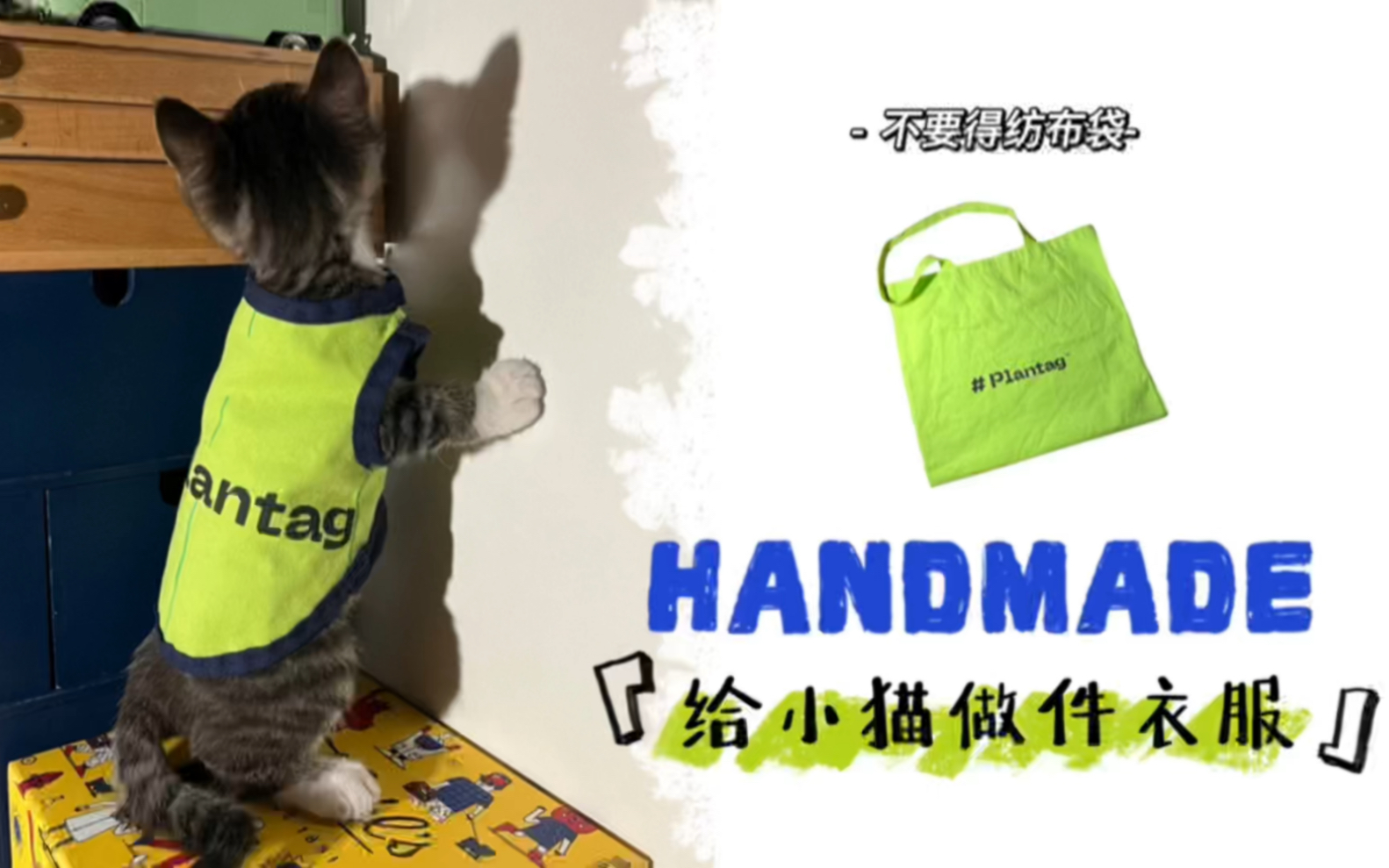 [图]环保再利用，用纺布袋给小猫做件衣服。