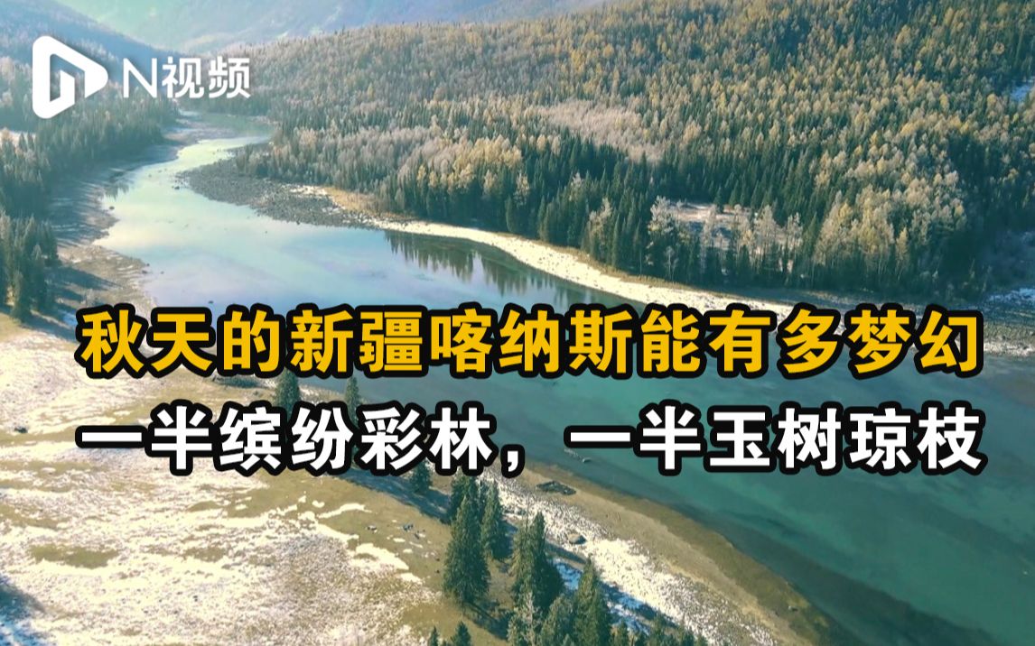 秋天的新疆喀纳斯能有多梦幻:一半缤纷彩林一半玉树琼枝哔哩哔哩bilibili