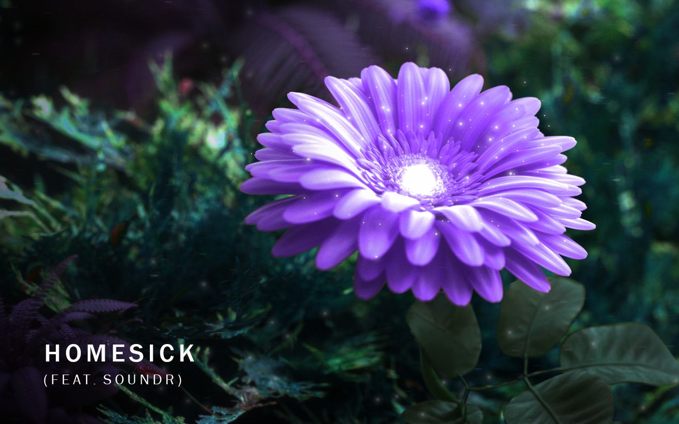 flm 萌新还原mitis的homesick