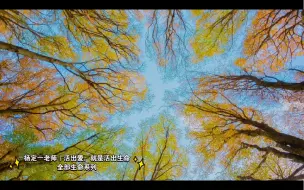 Download Video: 杨定一老师：活出爱，就是活出生命