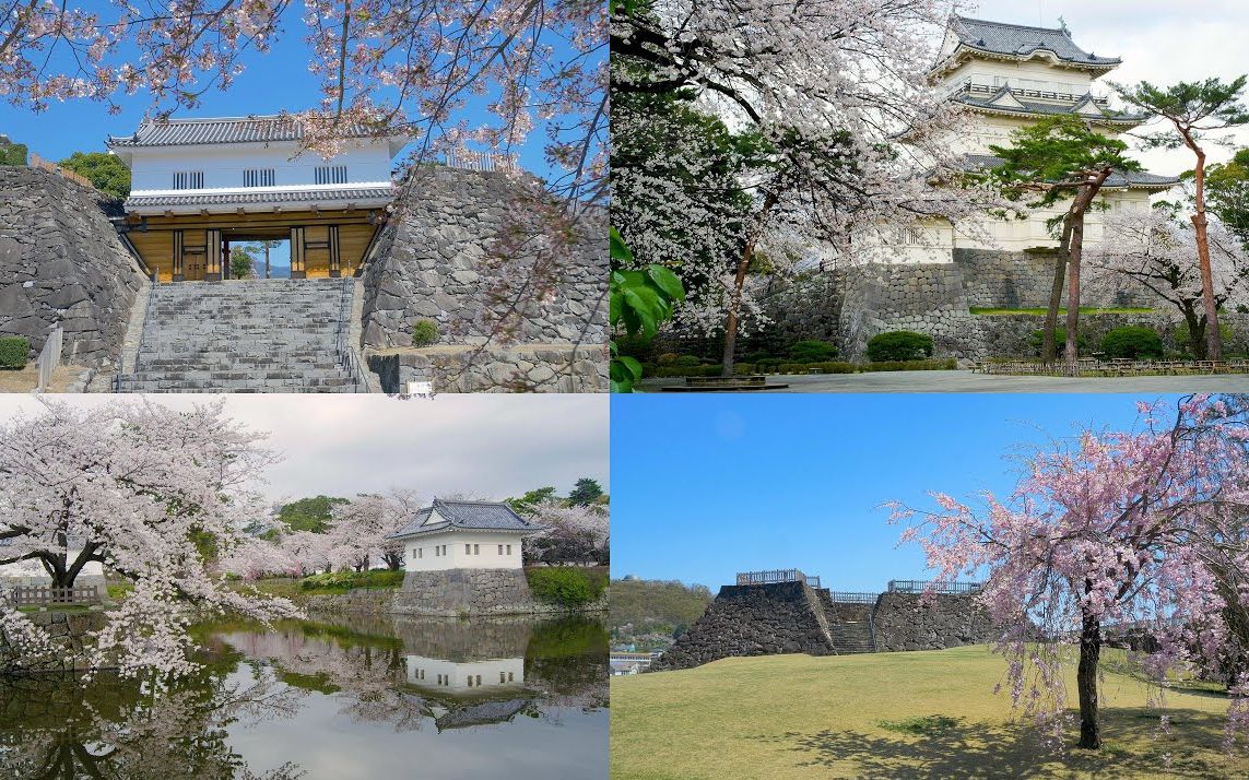 樱花 小田原城,甲府城(舞鹤城 japanese castles-odawara castle&