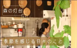 Download Video: 【生活・日常】秋风起，安静的生活【40代生活Vlog】|@森の灯台