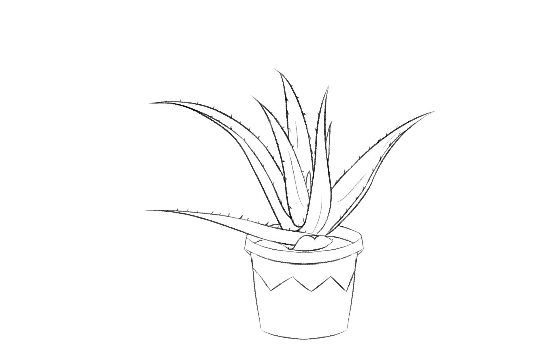 简单的植物写生画图片
