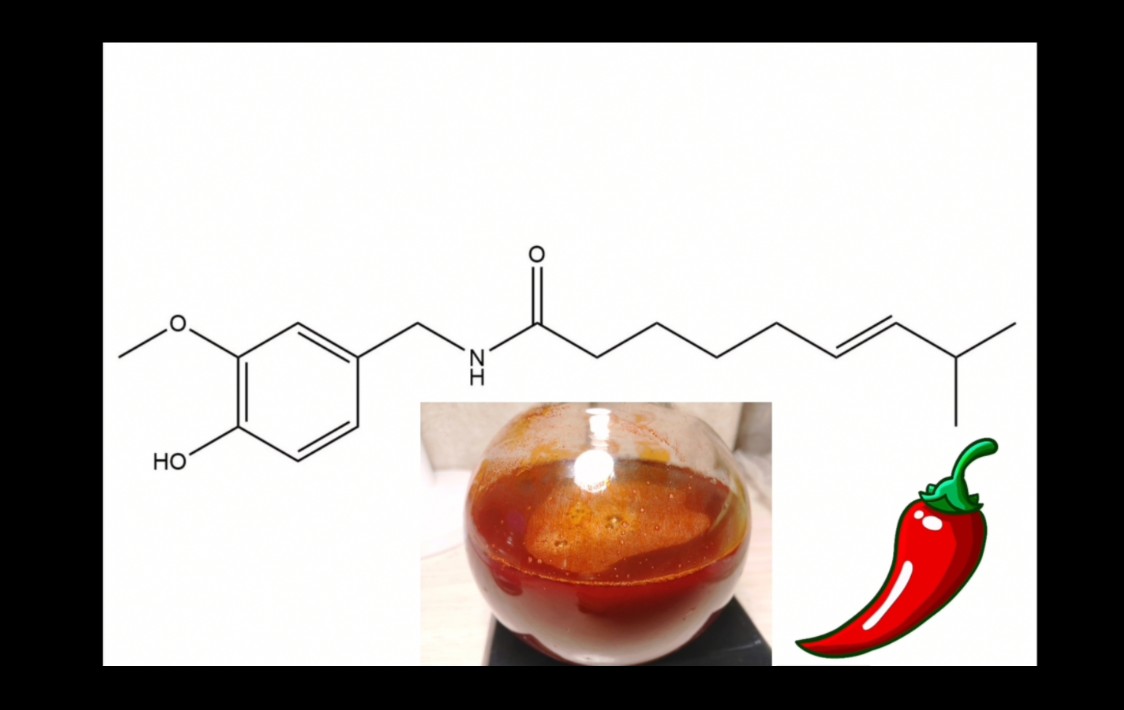 [有机化学]辣椒素的提取哔哩哔哩bilibili