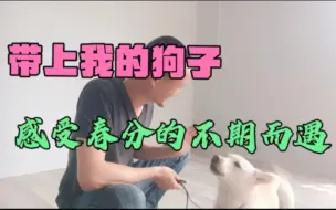 Download Video: 爱上我的狗子，感受春分的不期而遇