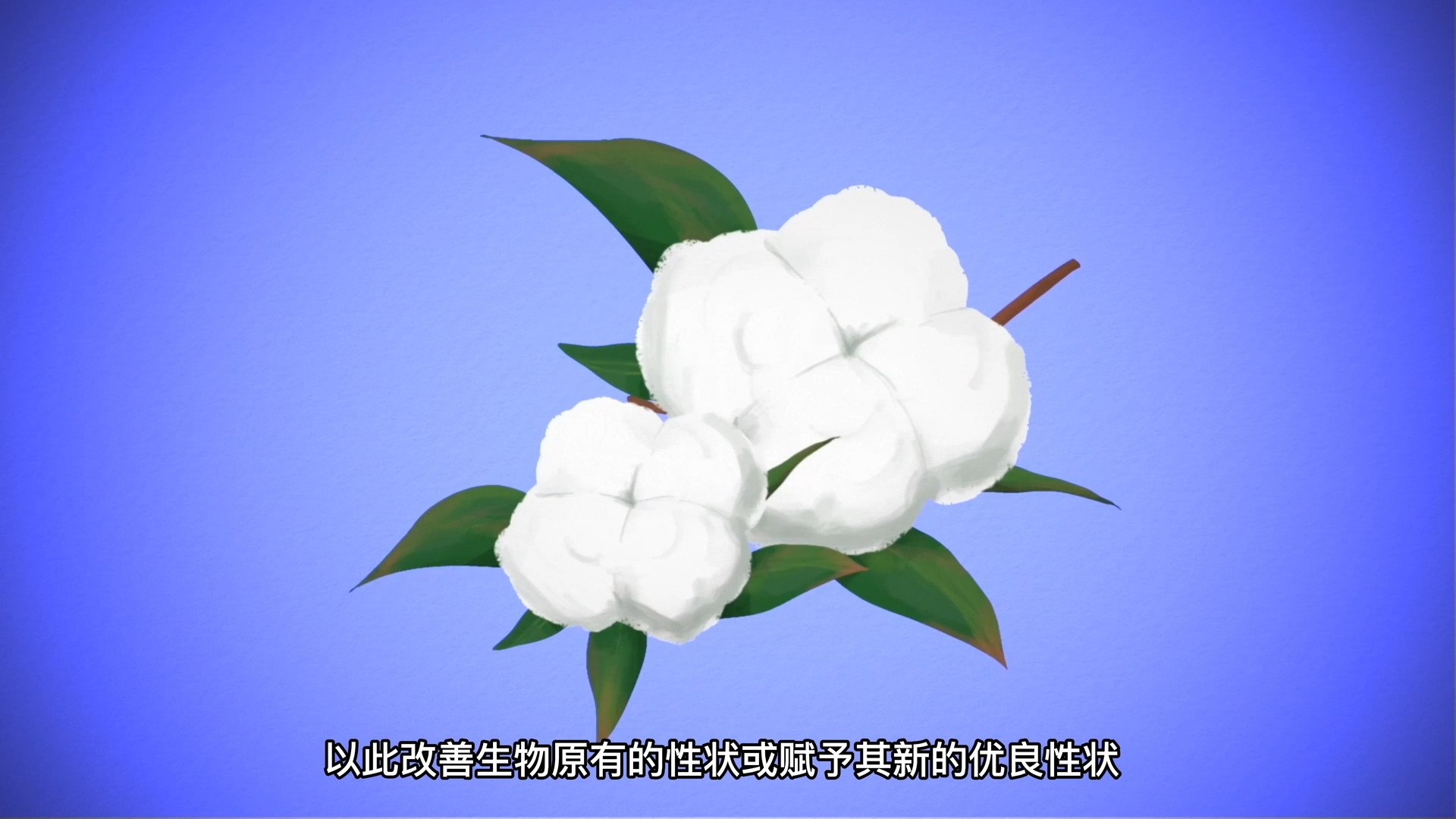 高中生物动画——基因工程的应用举例