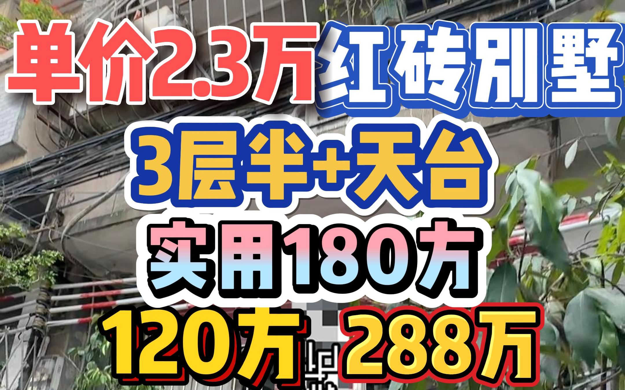 单价2.3万!独栋红砖别墅,3层半5房+天台花园,实用180方,120方288万!哔哩哔哩bilibili