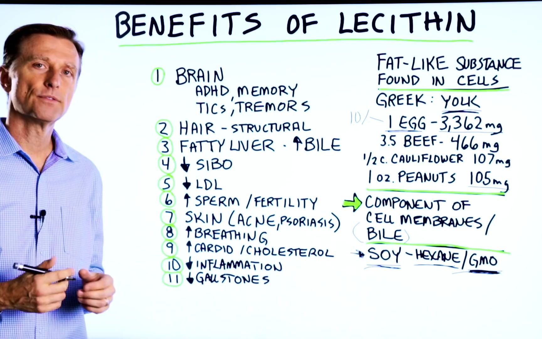 [图]卵磷脂的功效 The 11 Benefits of Lecithin