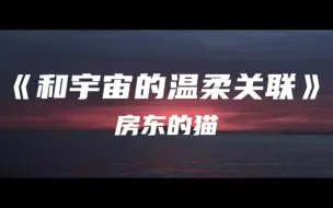 Download Video: 《和宇宙的温柔关联》房东的猫～后来再 未见过 那么美的日落 天黑了 影子会 消失在路口