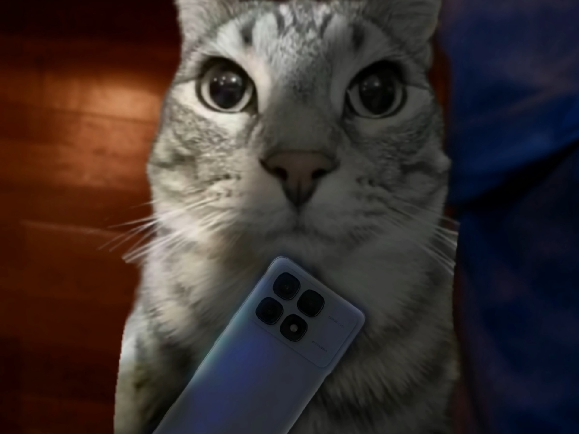 偷个手机全世界都安静了