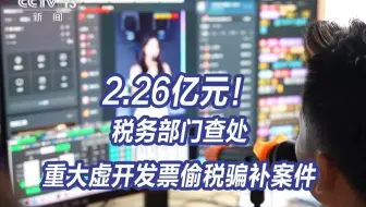 2.26亿元！税务部门查处重大虚开发票偷税骗补案件