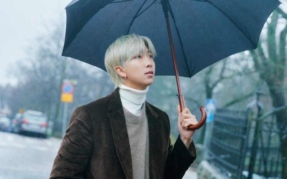 winter flower雪中梅—金南俊rm part剪辑