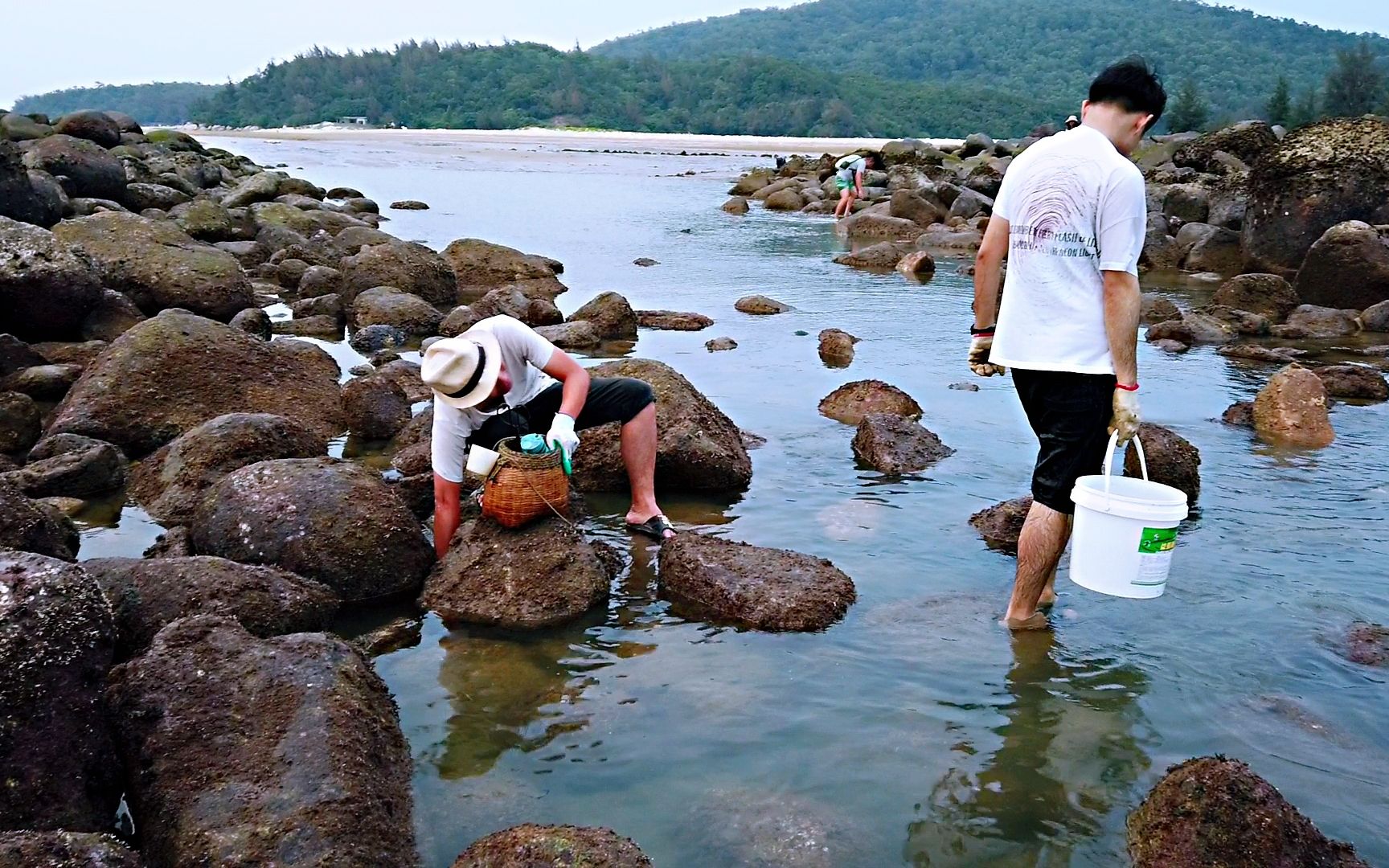 海陵岛网红赶海圣地图片