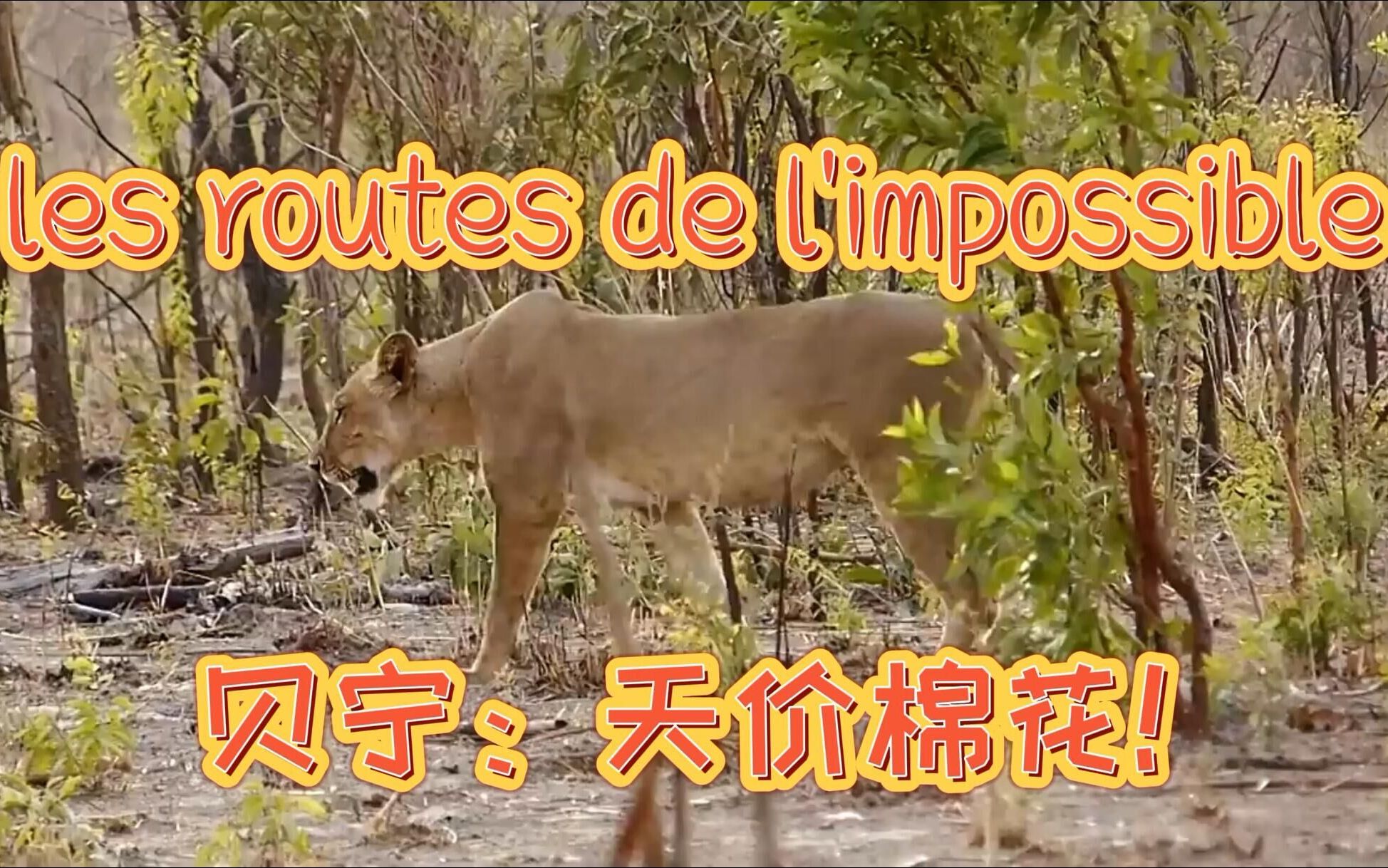 法国纪录片《不可思议的旅程》les routes de l'impossible完整版翻译 — 贝宁:天价棉花哔哩哔哩bilibili