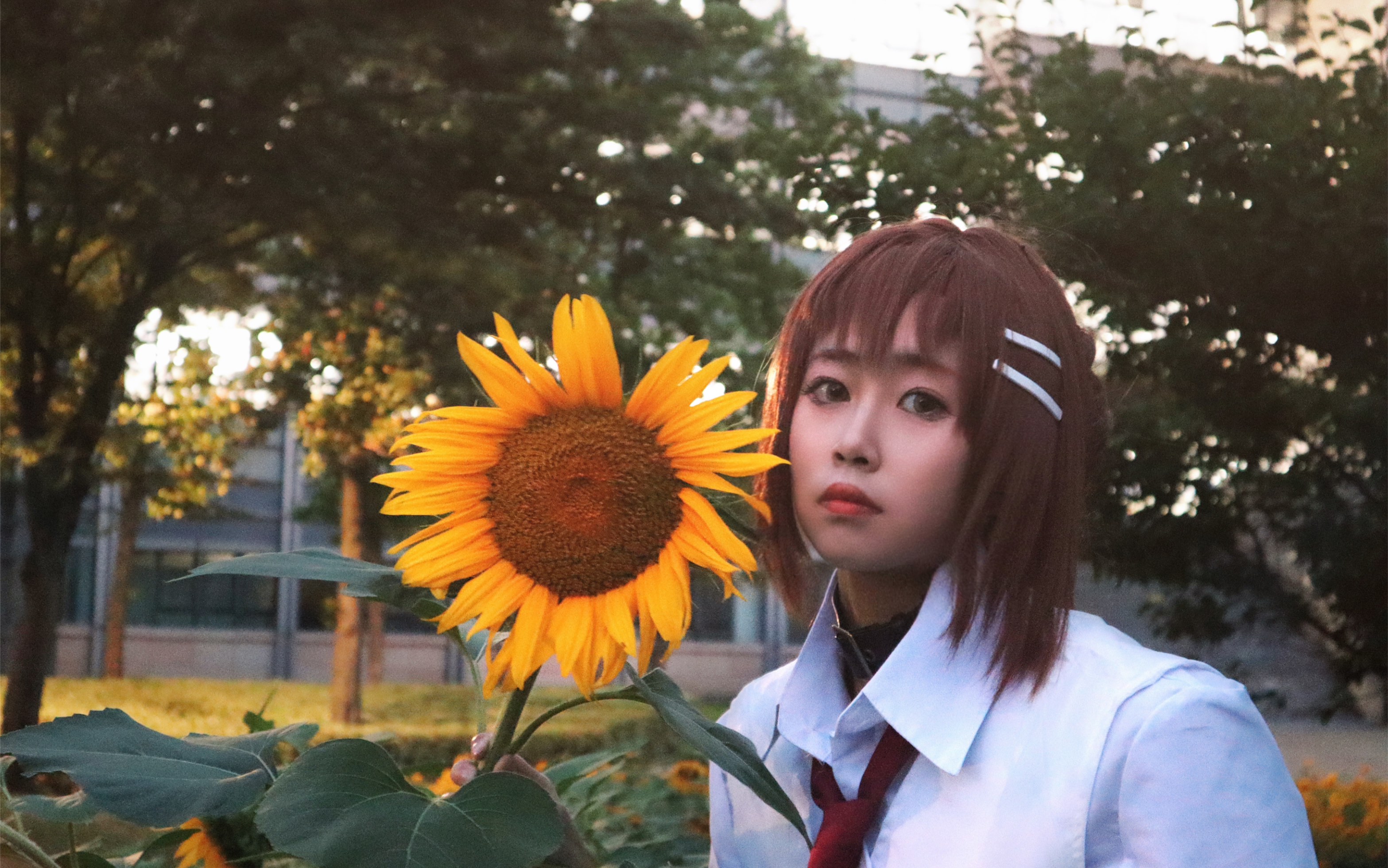 水上由岐|「夜の向日葵」