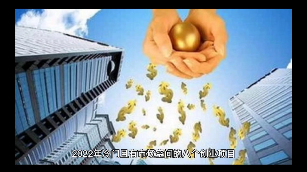 2022年冷门又有市场的八个创业项目2