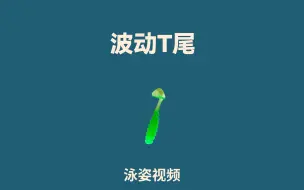 Descargar video: 波动T尾泳姿展示