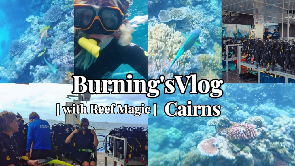 Burning's VlogCairns(大堡焦)哔哩哔哩bilibili